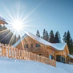 Poolchalet Dachsteinblick