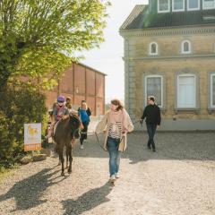 Büdlfarm - Der Familien-Erlebnishof in Strandnähe