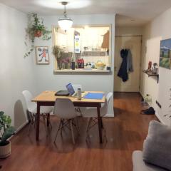 Lovely Apt In Providencia