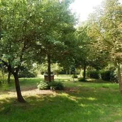 La Civetta