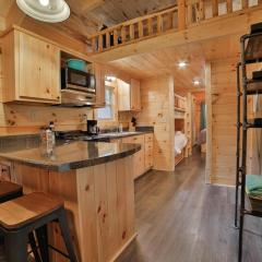 Ani Cabin Tiny Home Bordered By National Forest