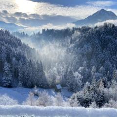 Wohnung Staufenblick und Wohnung Firstblick