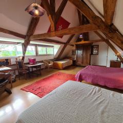 Grande chambre calme avec vue, wifi et parking - Le Pêchereau - FR-1-591-559