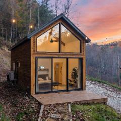 Tiny Cabin in RRG - The Naturalist