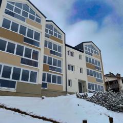 Merlin Malga San Giorgio 6