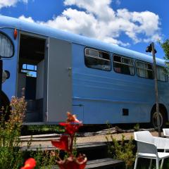 Evi the school bus at Oromahoe Downs Farm