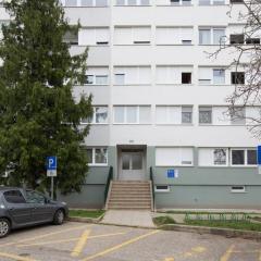Apartments with WiFi Velika Gorica, Prigorje - 22011