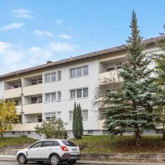 Gorgeous Apartment In Tauberbischofsheim With Wi-fi