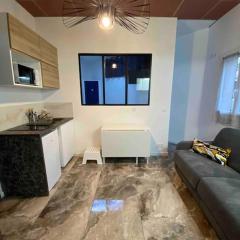 Apt Charmant, Proche Gare et Centre Historique - Climatisation et WIFI