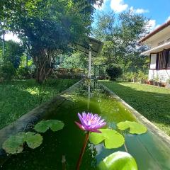 Mahaweli Shades