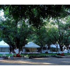 Gir Orchid Resort, Bhojde, Gujarat