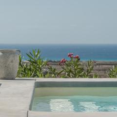 Villa Amerelia Mikri Vigla