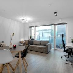 Cozy 1BR Apt in Reykjavík