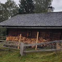 Almhütte für Summer und Wintersport