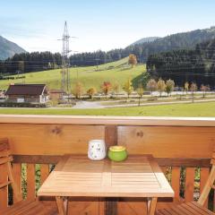 Awesome Apartment In Flachau With 2 Bedrooms And Wifi