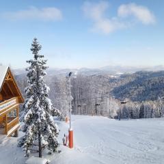 Apartamenty na Soszowie, Wisła - widokowe miejsce z Balią & Prywatną Sauną, obok stoku narciarskiego i Bike Parku, dla max 16 osób