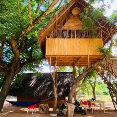 Yala Village Eco Tree House