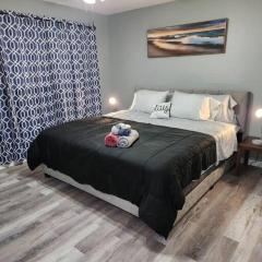 Blue Shark *B2* @ Bellaire 1BR King Apartment Near Medical Center