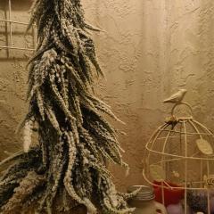 Cozy Compact Flat in the City Center