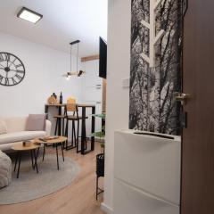 Cute 1BDR in City Center