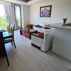 Luxury apartment in the most privileged area - SC