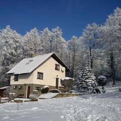 Holiday home in Marianska/Erzgebirge 1664