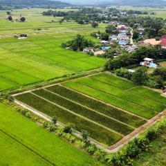 ณ บ้านนอก Organic Farmstay