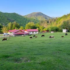 Къща за гости Ранчо Канарата