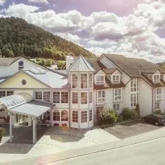 Hotel Traube Revital