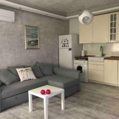 A cozy and modern apartment Krasno selo