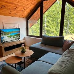 Pamporovo Rhodopi Pearl Apartments - Private Apartments