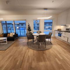 Gjerdrum/ Oslo apartment for your trip/holiday