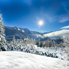 Sumptuous Chalet with Breathtaking views by GuestLee