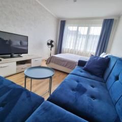 Riga City 2 Bedroom Lux Apartments