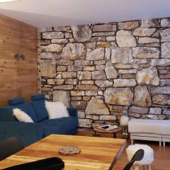 Appartement T2 lumineux - Cauterets centre - FR-1-234-312