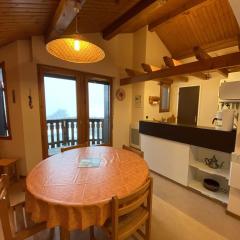 Appartement 4 pers, proche pistes et commerces, Crest-Voland - FR-1-733-150