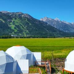 Tammah Jackson Hole