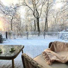 Luxury apartment DOLCE VITA