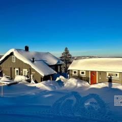 Cozy cabin with incredible views and sauna