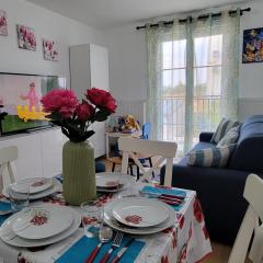 DISNEYLAND PARIS - VAL D'EUROPE - PARKING - WIFI