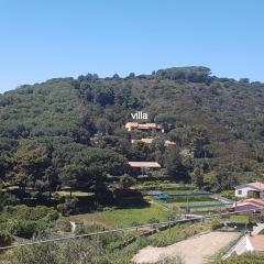 Villa Marilena - Goelba