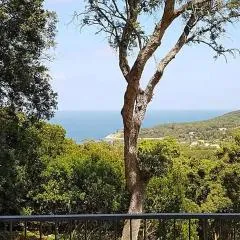 Villa ai Pini - ArgonautiVacanze