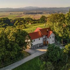 Nice Home In Velika Nedelja With Kitchen