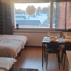 Arctic Condo at City Centre