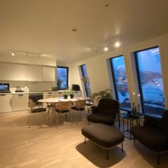 The Heart of Tromsø city Apartment