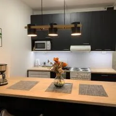 StarHomes 2 BR City Apartment C18