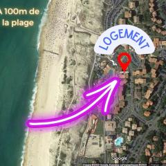 Dune Dreamer - Appartement beach front