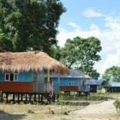 N Palky Camp Potasali