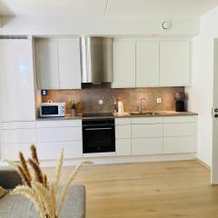 Leilighet ved Tønsberg Brygge