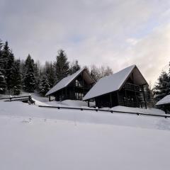 Cottages Shepit Lisu